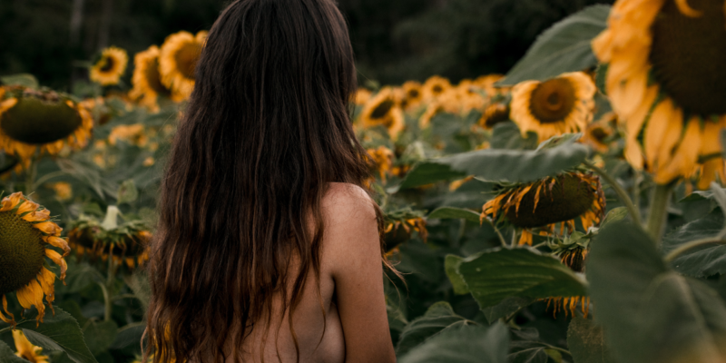 The back of a topless woman in a field of sunflowers
